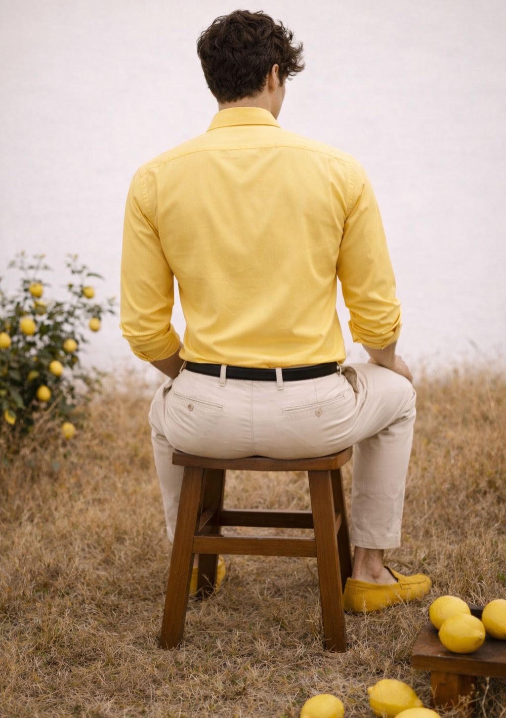Yellow Montx men's premium cotton full-sleeve shirt displayed on a hanger, showcasing its classic design and vibrant color.